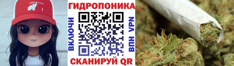 Виды наркоты Протвино A PVP  МЕФ 