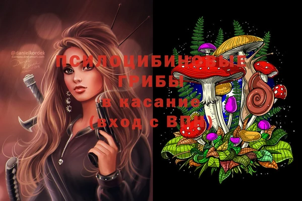 дмт Арсеньев