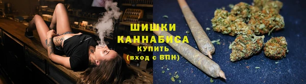 крисы Армянск