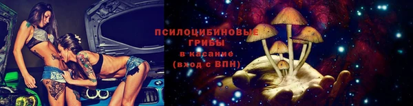 дмт Арсеньев