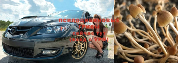 крисы Армянск