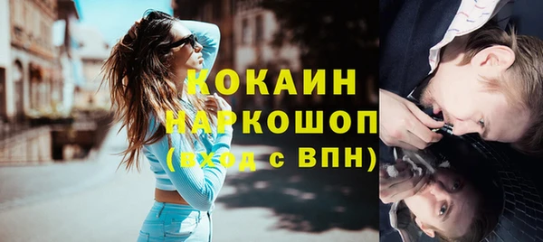 крисы Армянск