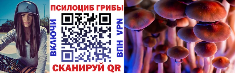 блэк спрут ссылка  Протвино  Галлюциногенные грибы мицелий 